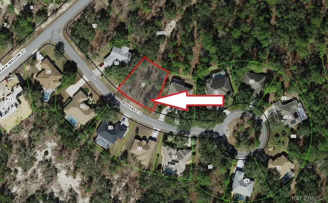 6 Bigleaf Court, Homosassa, FL 34446 - #1