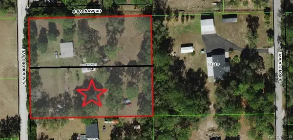 415 S Scarboro Avenue, Lecanto, FL 34461