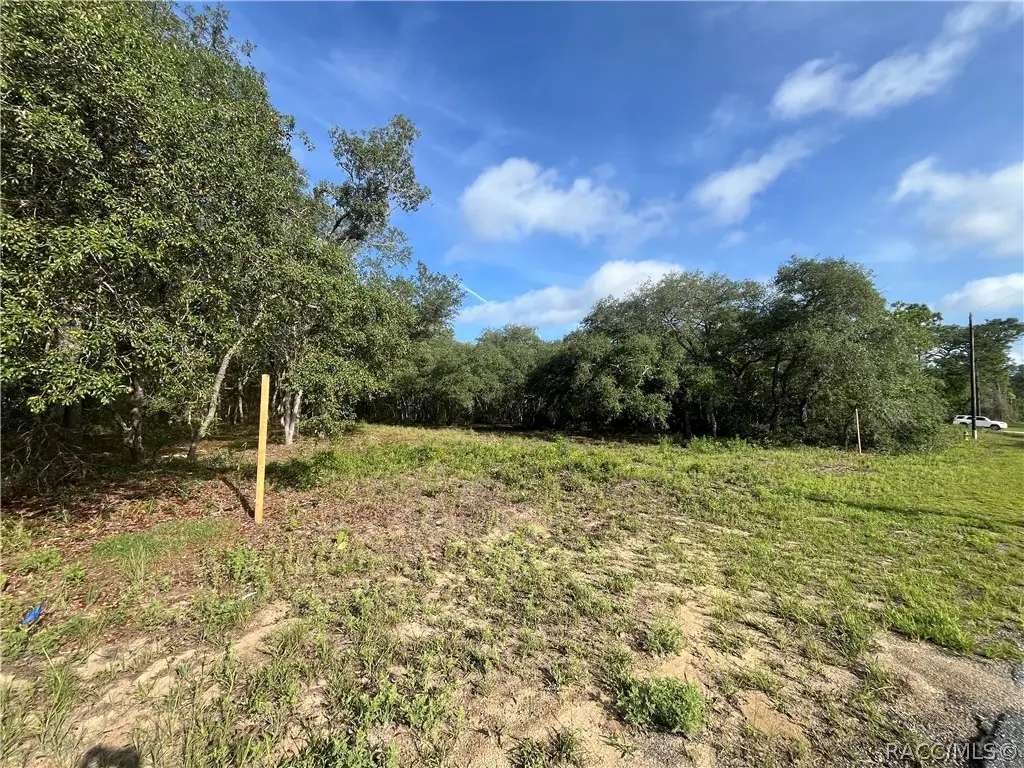 6990 N Lime Drive, Citrus Springs, FL 34433 - #1