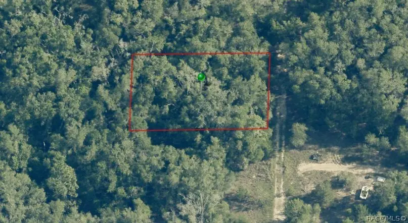 703 Dalwood Avenue, Inverness, FL 34453 - #1