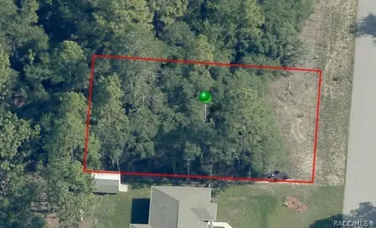 3963 W Wilburton Drive, Dunnellon, FL 34433 - #1