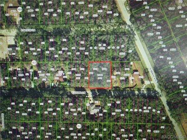 3629 E Diana Lane, Inverness, FL 34453