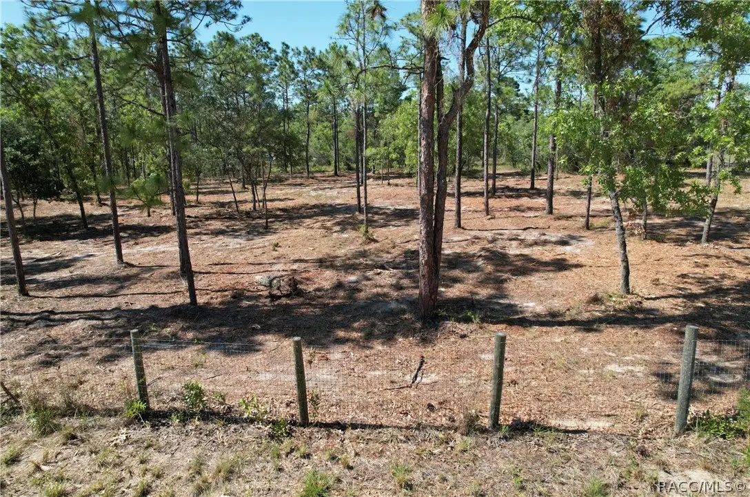 5563 W Osmond Lane, Dunnellon, FL 34433 - #1