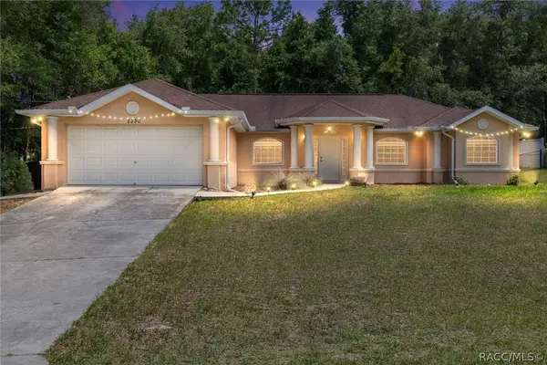 2330 W Dolphin Drive, Citrus Springs, FL 34434