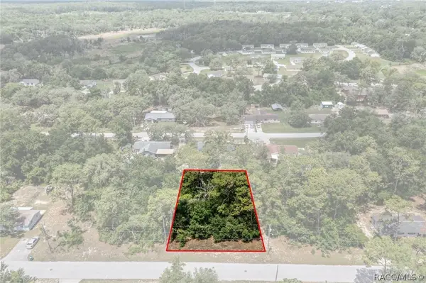 1119 Jones Avenue, Inverness, FL 34453
