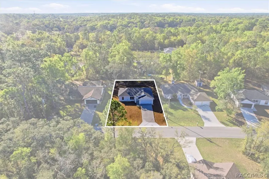 2980 W Camilo Drive, Citrus Springs, FL 34434 - #2