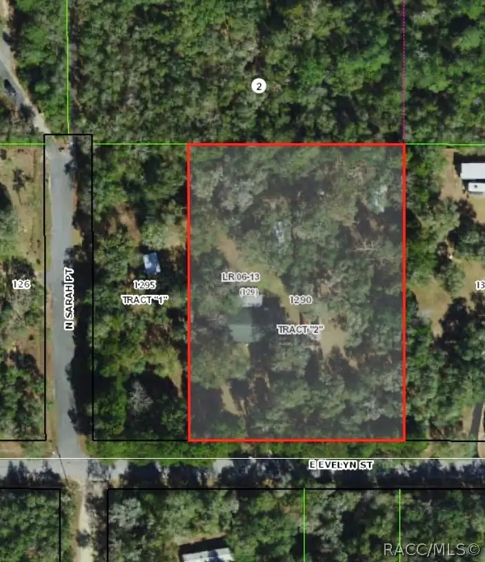 1801 E Evelyn Street, Hernando, FL 34442 - #3