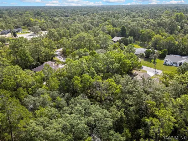 24 Rebecca Court, Homosassa, FL 34446