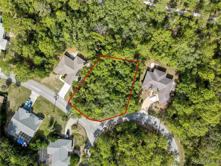 24 Rebecca Court, Homosassa, FL 34446 - #2