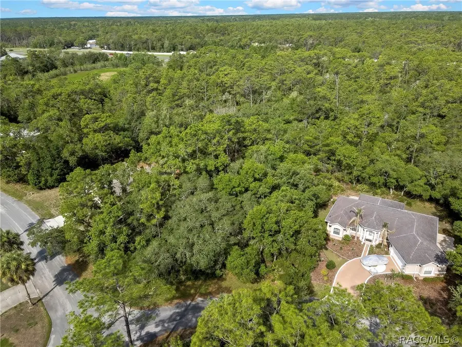 24 Rebecca Court, Homosassa, FL 34446 - #3