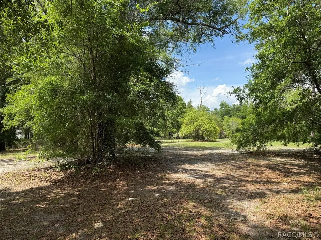 20275 33 Road, Wellborn, FL 32094 - #1