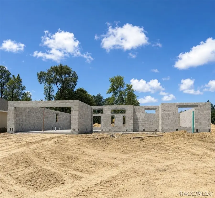 699 W Hallam Drive, Dunnellon, FL 34434 - #2