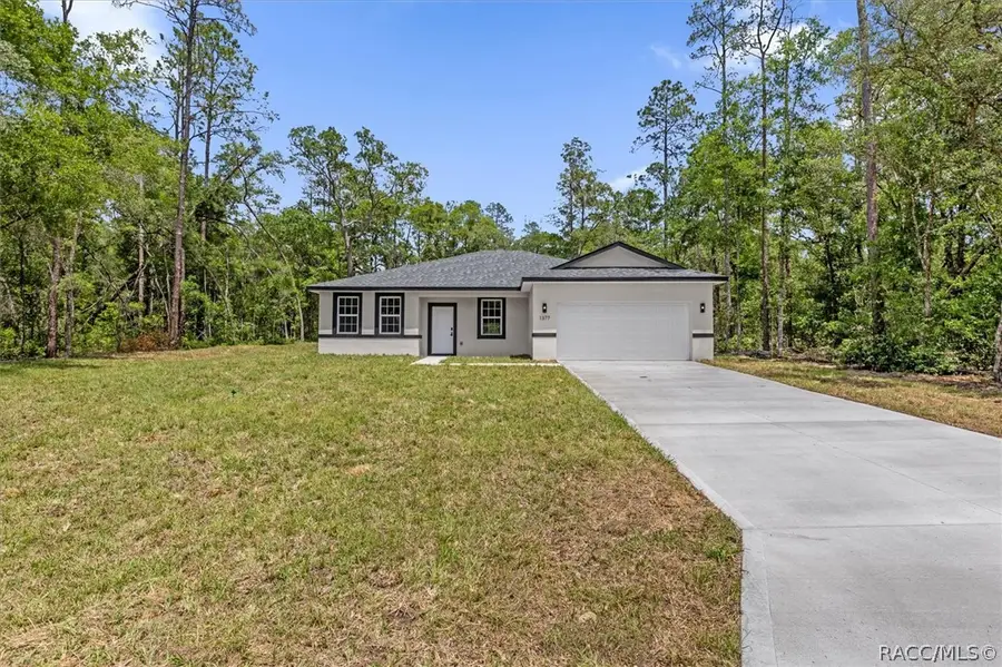 1377 W Alexander Drive, Citrus Springs, FL 34434 - #3