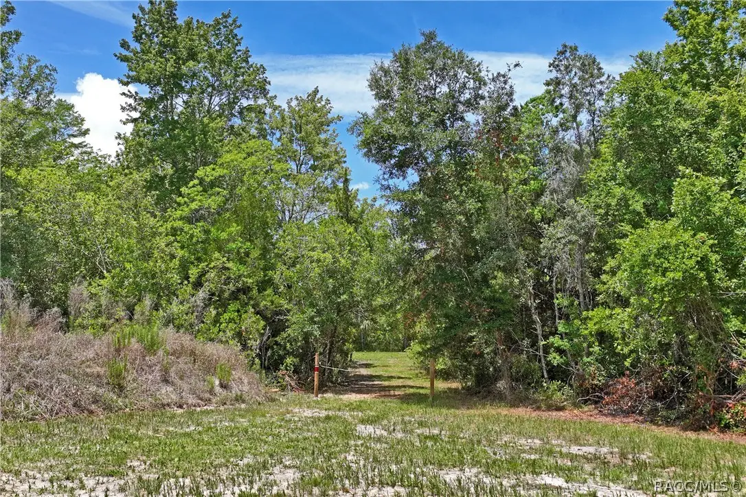 1020 N Mcgowan Avenue, Crystal River, FL 34429 - #1