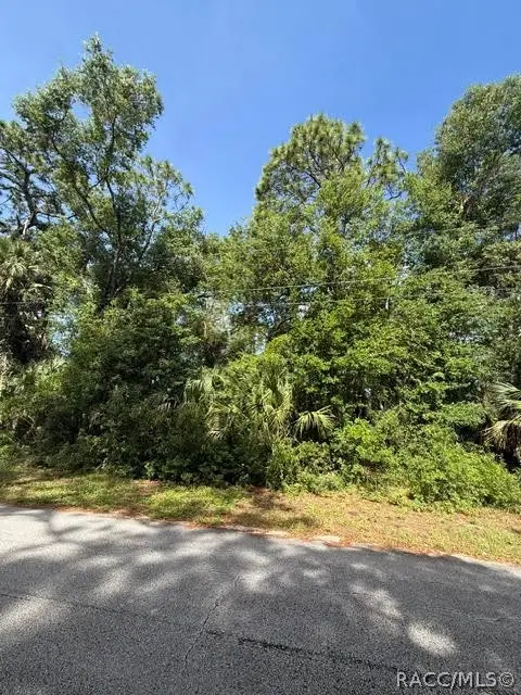 444 N Hourglass Terrace, Crystal River, FL 34429