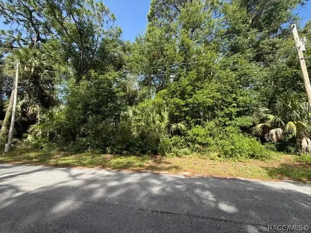 444 N Hourglass Terrace, Crystal River, FL 34429 - #2