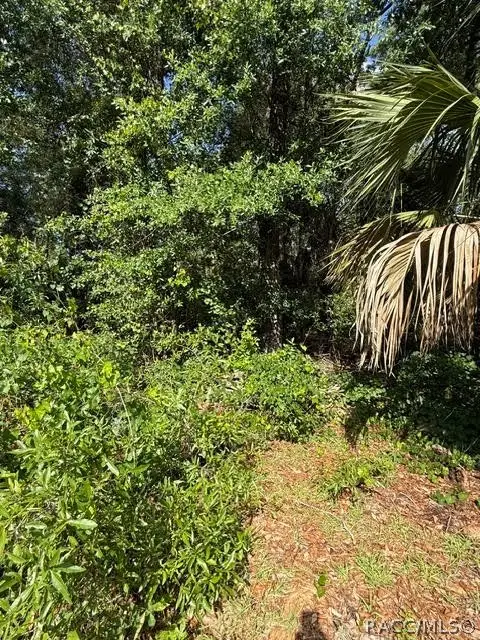 444 N Hourglass Terrace, Crystal River, FL 34429 - #3