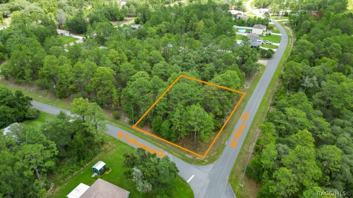 6951 N Tallwood Drive, Citrus Springs, FL 34434 - #1