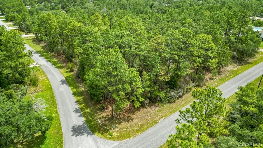 6951 N Tallwood Drive, Citrus Springs, FL 34434 - #3