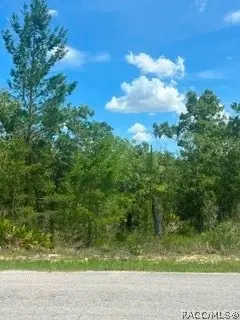 20 Smilax Court, Homosassa, FL 34446 - #3