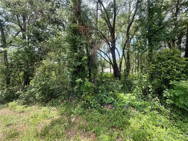 3965 E Walker Street, Inverness, FL 34453