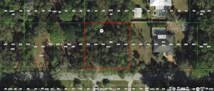 3965 E Walker Street, Inverness, FL 34453 - #2