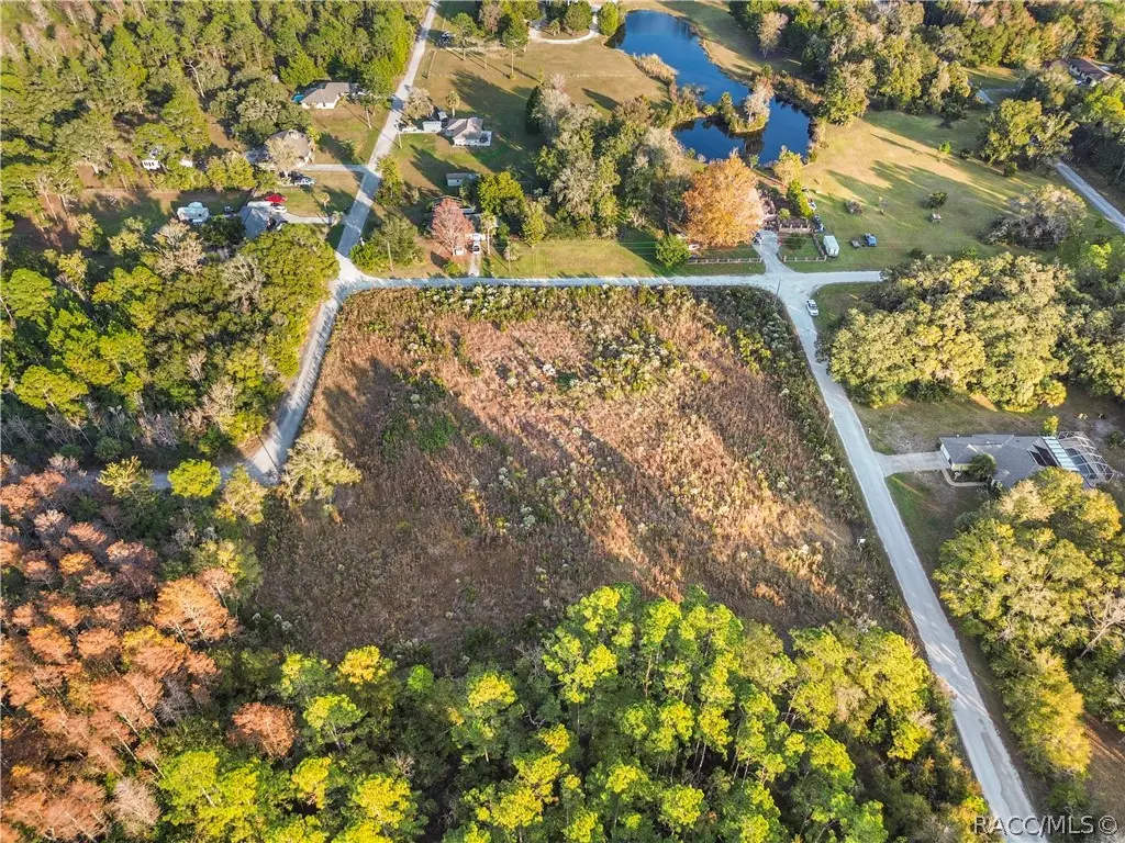 1146 N Jorie Terrace, Crystal River, FL 34429 - #1