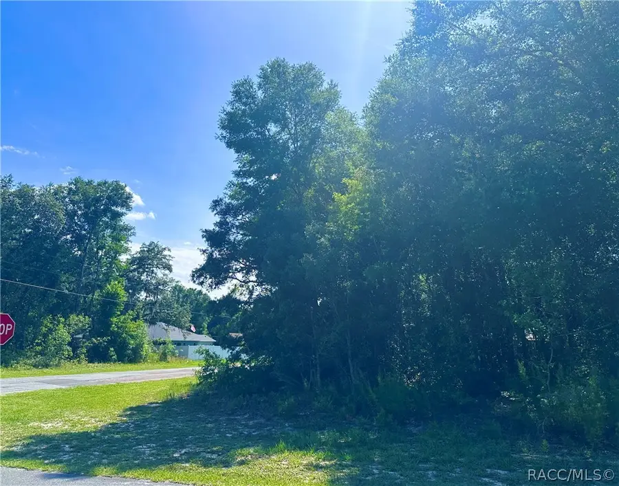 8258 N Pocono Drive, Citrus Springs, FL 34434 - #2