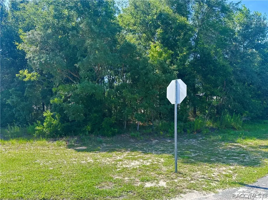 8258 N Pocono Drive, Citrus Springs, FL 34434 - #3