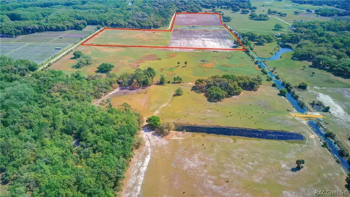 10774 E Lucas Trail, Inverness, FL 34450 - #1