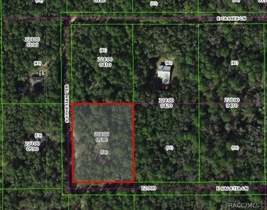 13407 S Ephesian Terrace, Floral City, FL 34436 - #1