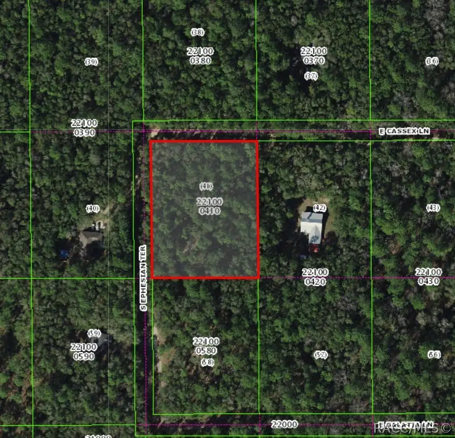 8708 E Cassex Lane, Floral City, FL 34436 - #1