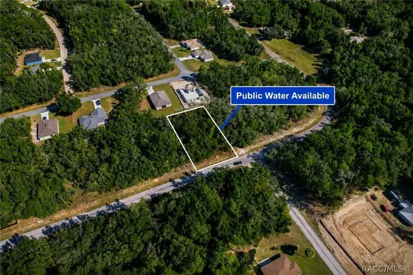 10562 N Adler Drive, Citrus Springs, FL 34434