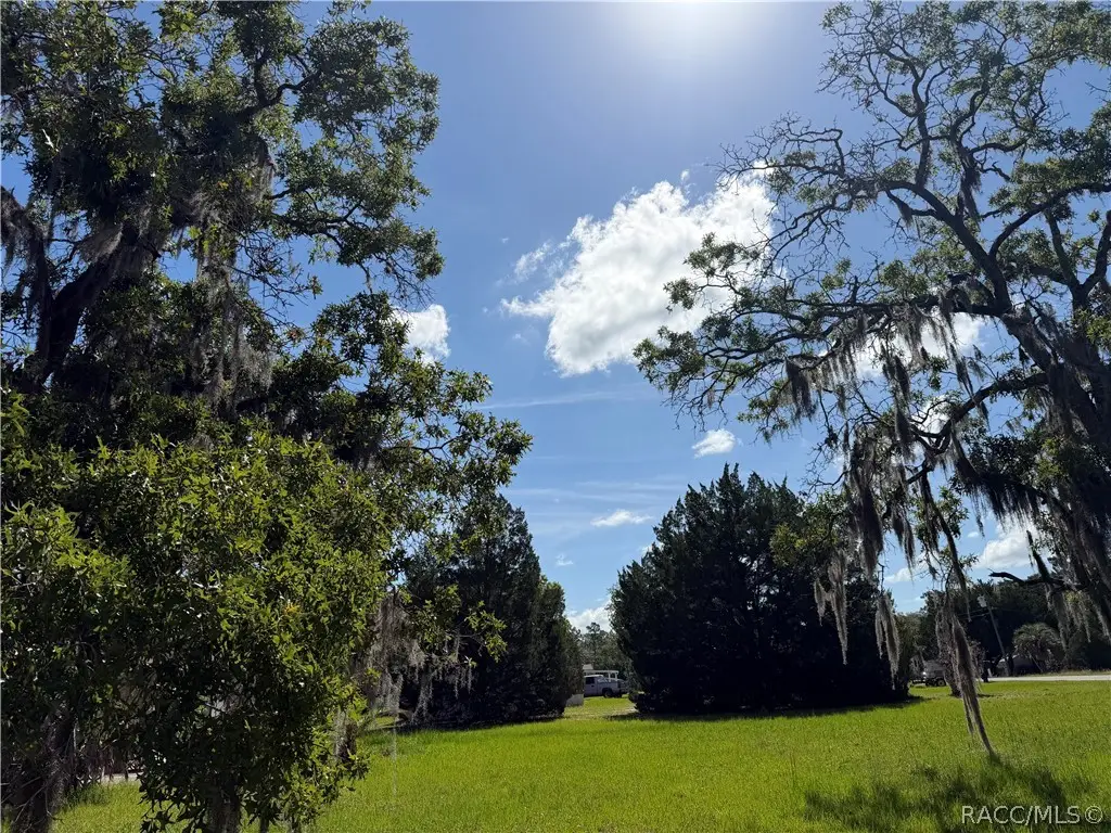 3352 S Junket Drive, Homosassa, FL 34448 - #1