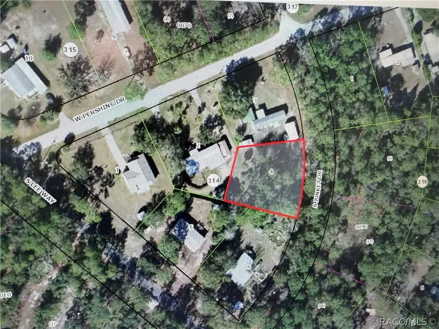3352 S Junket Drive, Homosassa, FL 34448 - #3