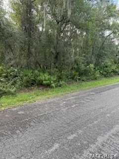 8585 N Maple Avenue, Crystal River, FL 34428