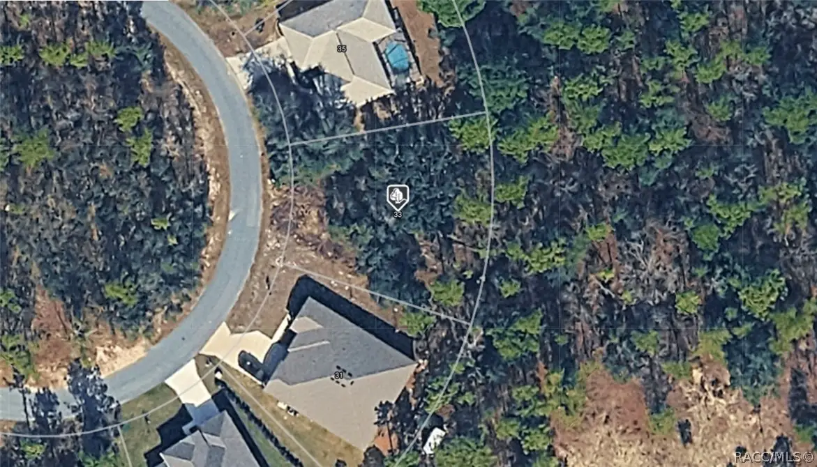 33 Cherrypalm Court, Homosassa, FL 34446 - #1