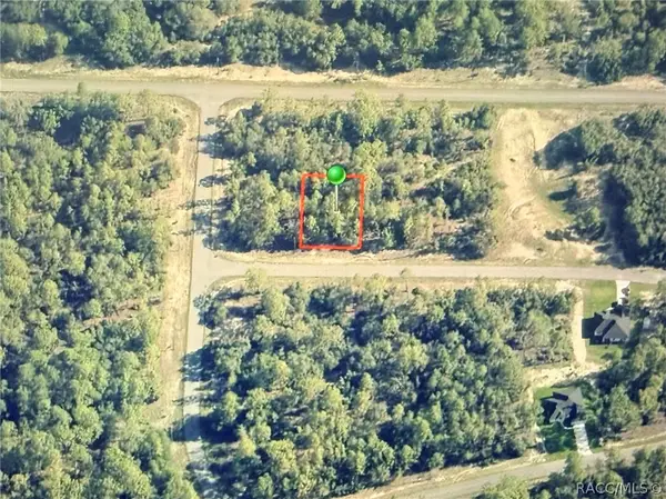 2881 W Huron Lane, Citrus Springs, FL 34433