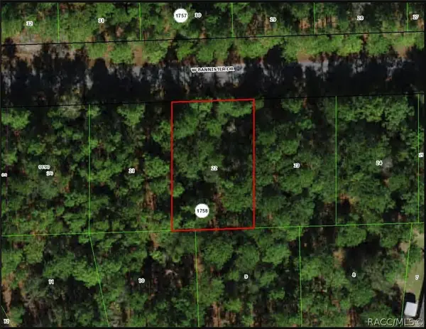 898 W Bannister Drive, Citrus Springs, FL 34434