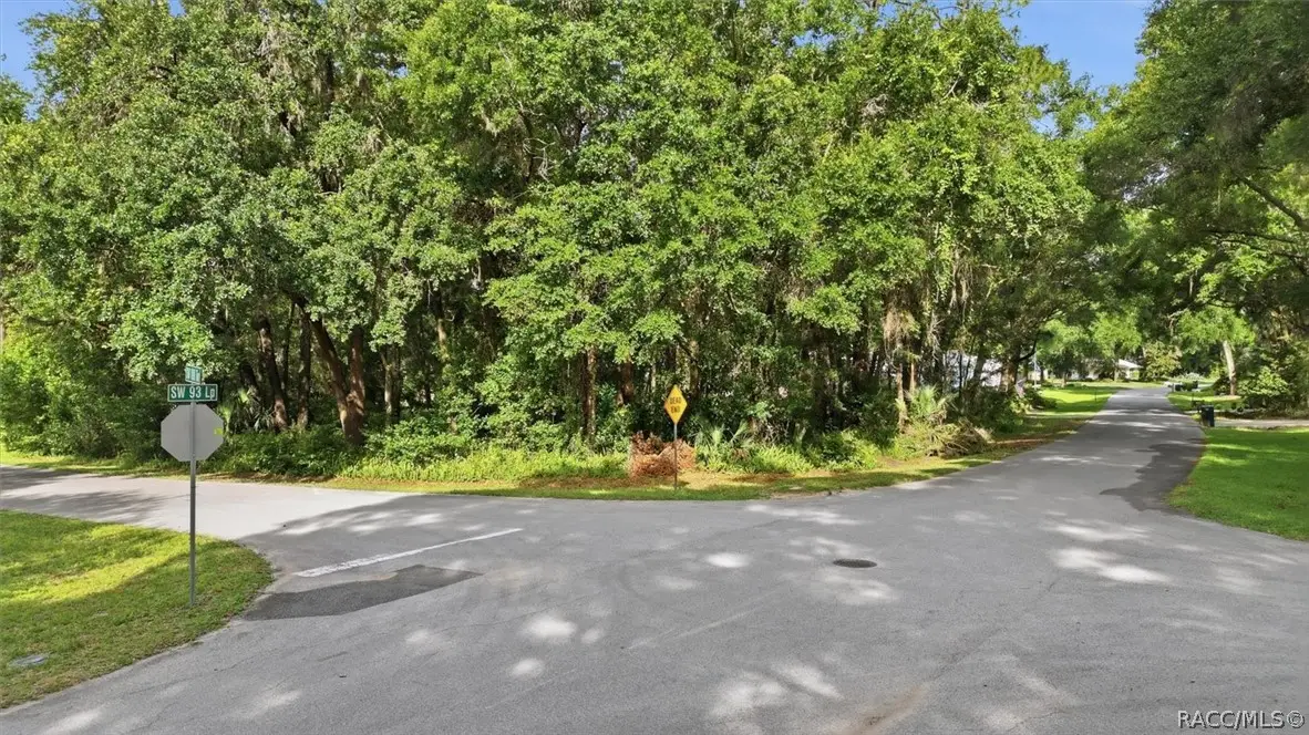 Lot 3 SW 93rd Loop, Dunnellon, FL 34432 - #1