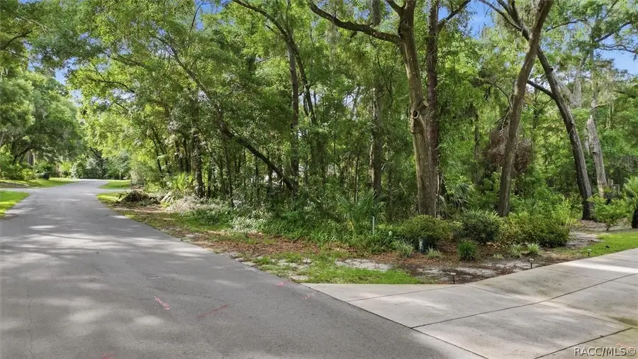 Lot 3 SW 93rd Loop, Dunnellon, FL 34432 - #3