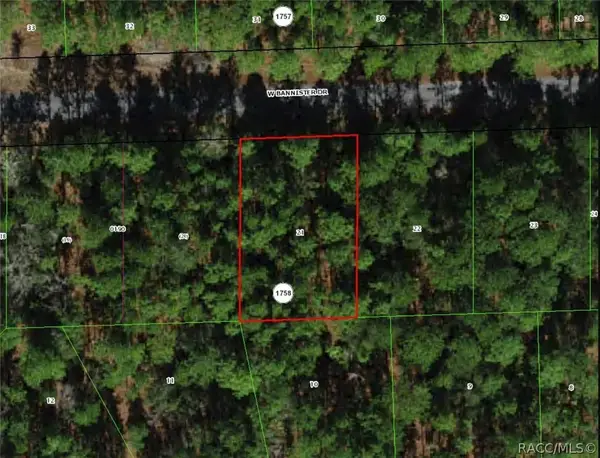 910 W Bannister Drive, Citrus Springs, FL 34434