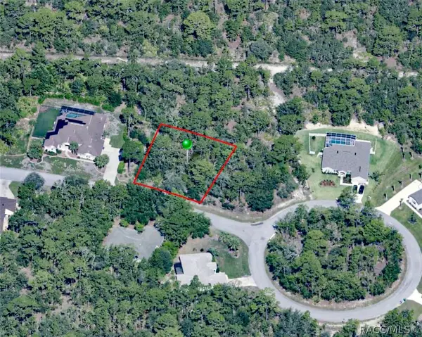 57 Torenia Verbenas Court, Homosassa, FL 34446