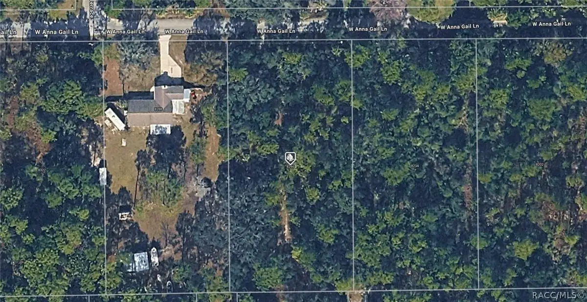 8266 W Anna Gail Lane, Crystal River, FL 34429 - #1