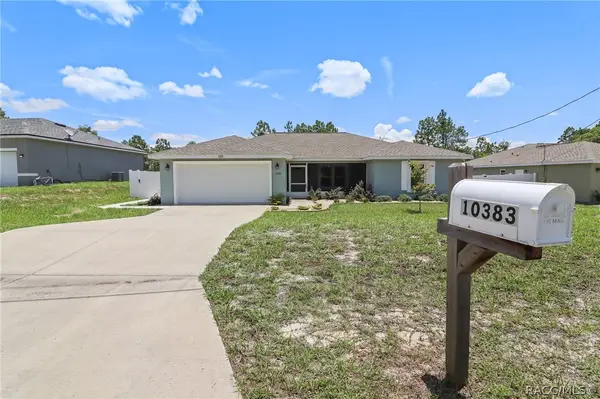 10383 N G Martinelli Boulevard, Dunnellon, FL 34433