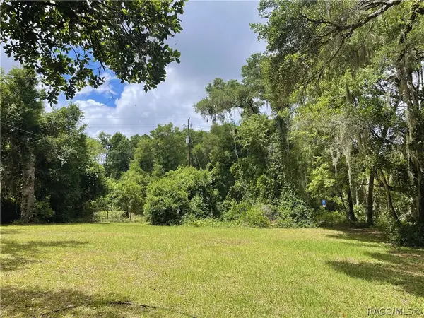 9381 S Great Oaks Drive, Floral City, FL 34436