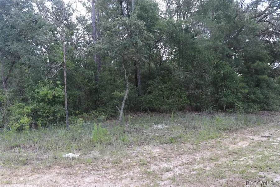 653 Vercelli Lane, Dunnellon, FL 34434 - #3