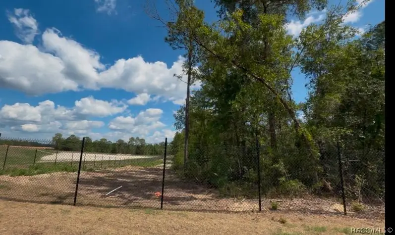 3476 N Iguana Path, Crystal River, FL 34428 - #2
