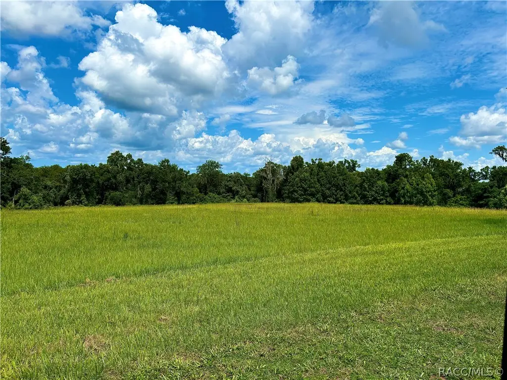 0000 Old Spring Lake Road, Brooksville, FL 34601 - #1