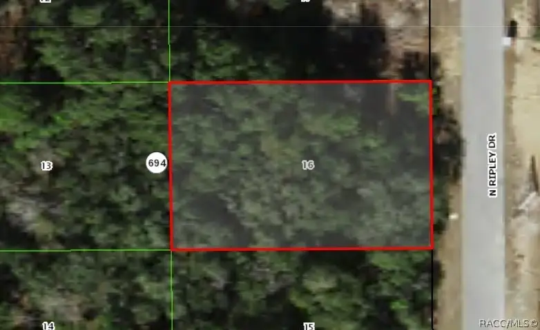 7064 N Ripley Drive, Dunnellon, FL 34433 - #3